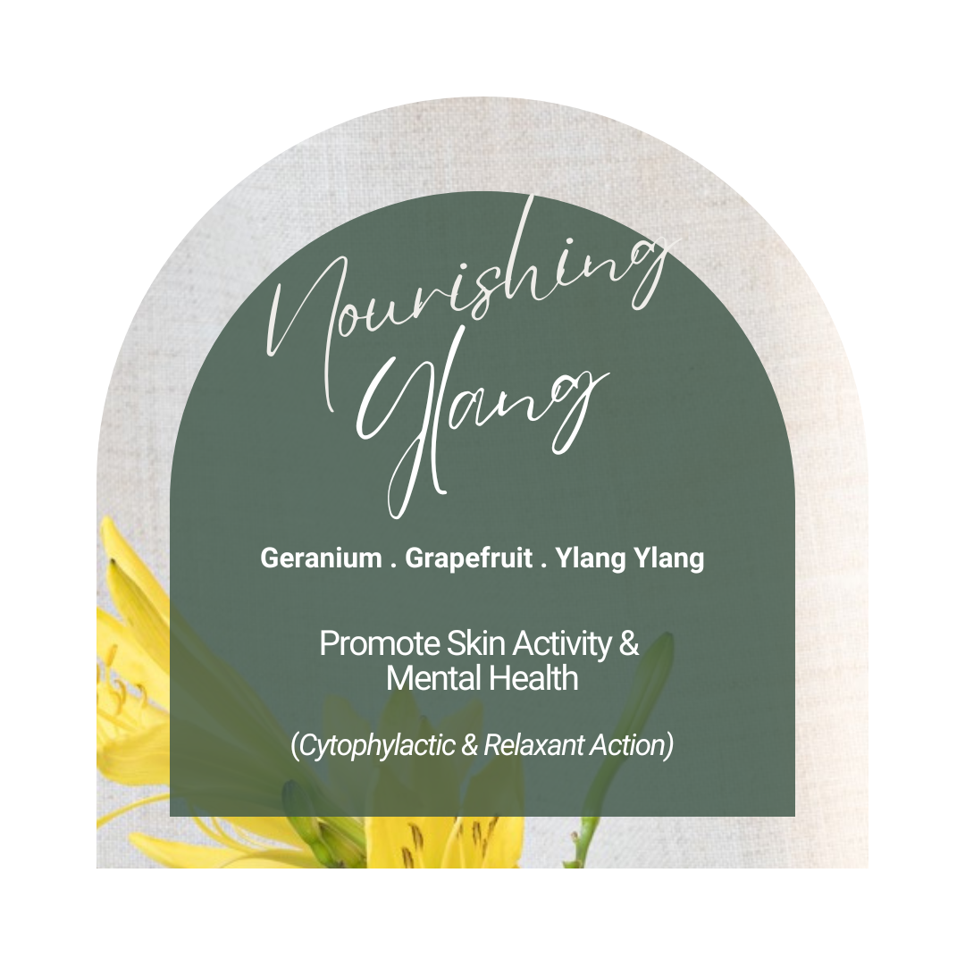 Wellness Body Hydro Therapy