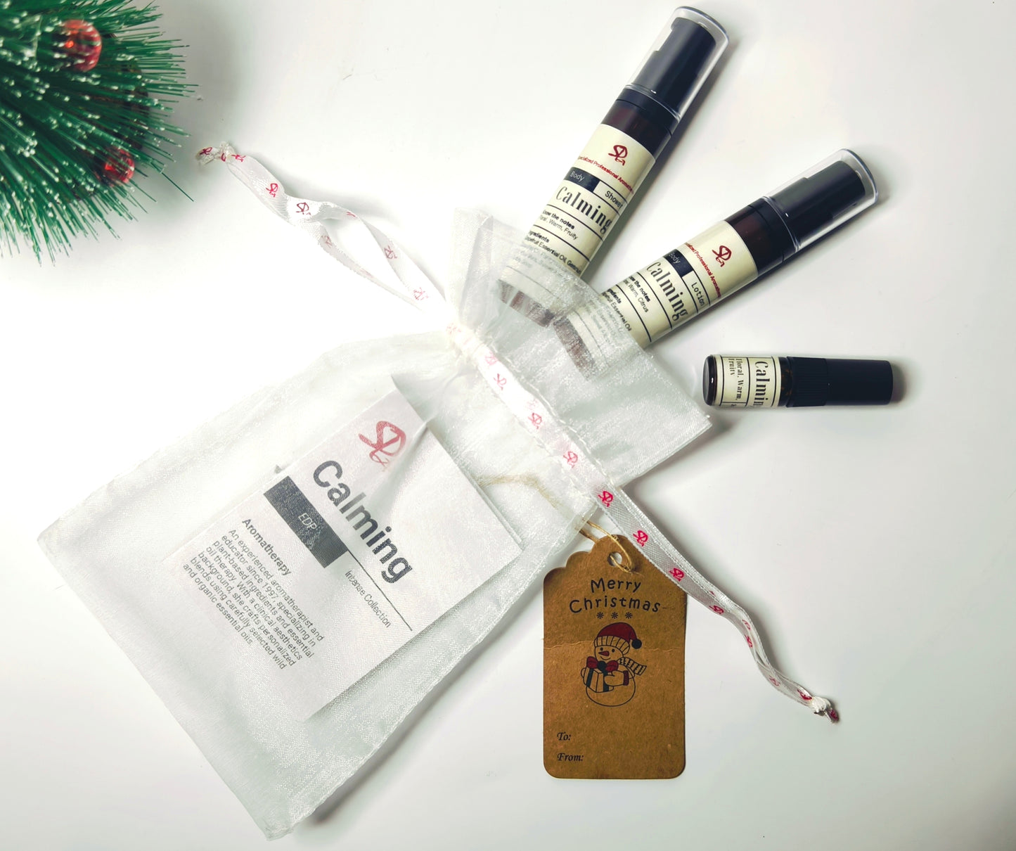 Christmas Travel Kit