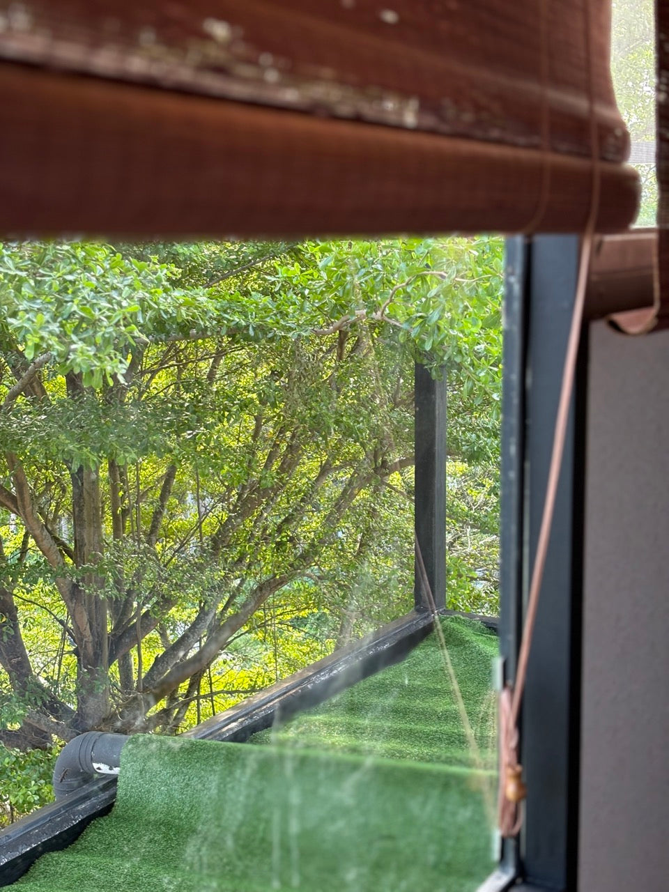 Slumber Quadruple Room 203