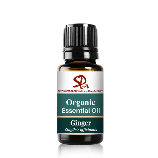 Ginger Essential Oil
