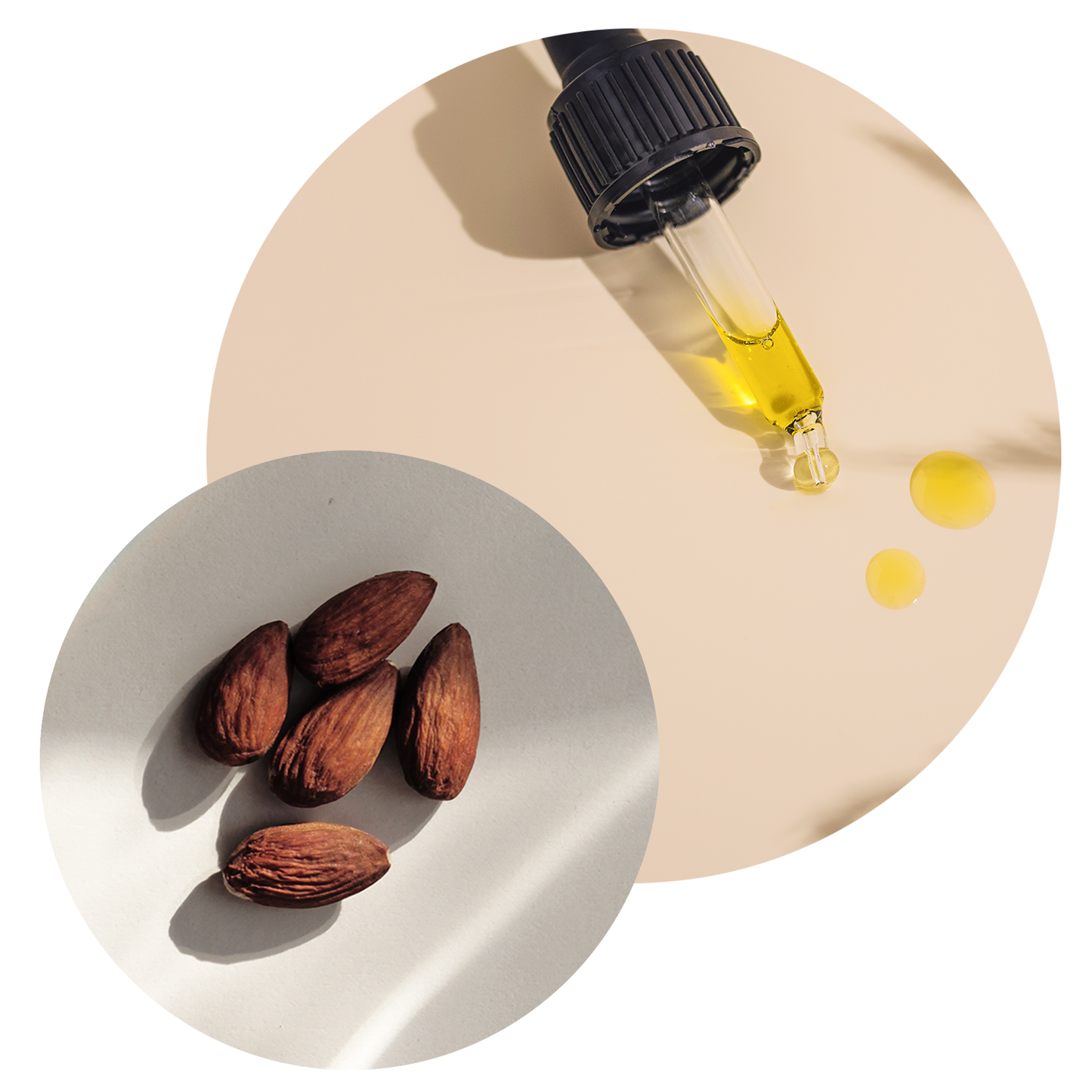 Sweet Almond Carrier Oil