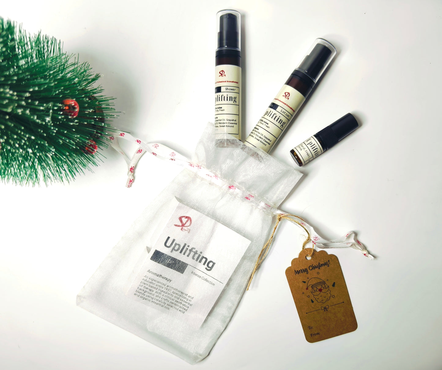 Christmas Travel Kit