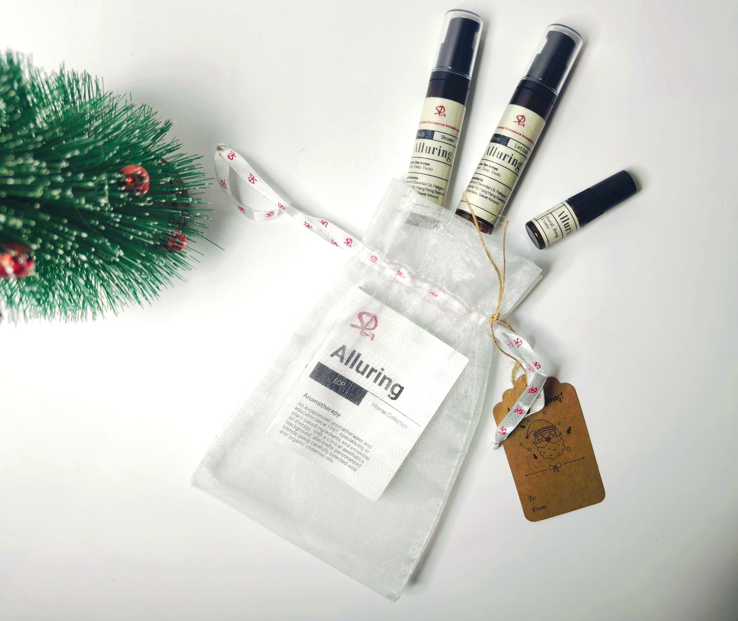 Christmas Travel Kit