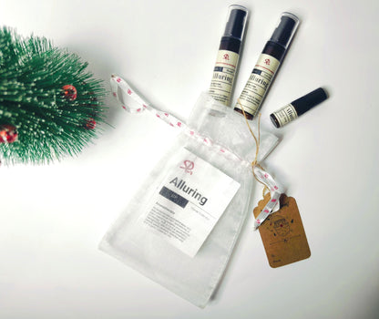 Christmas Travel Kit