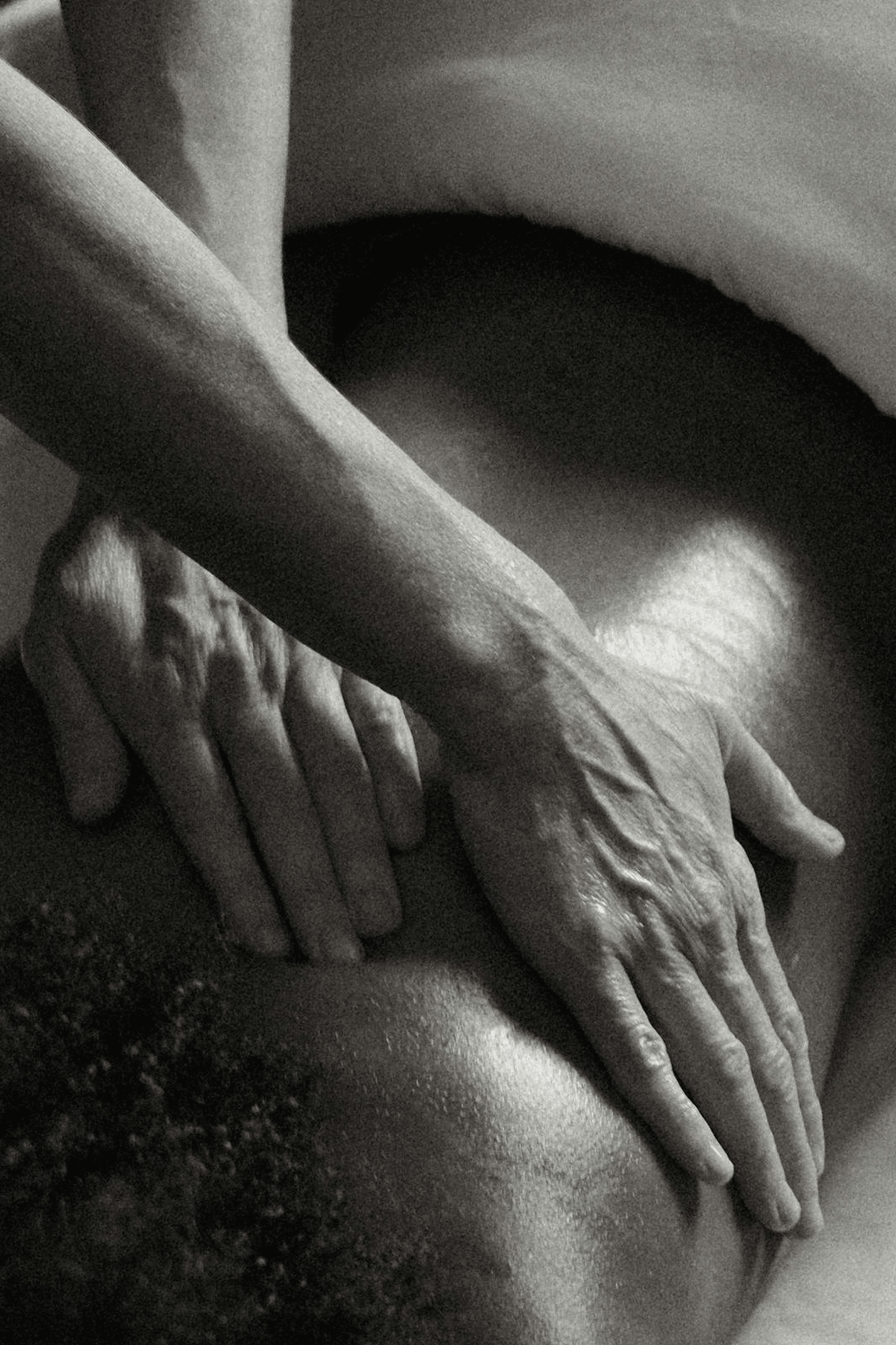 The Urban Wellness Escape