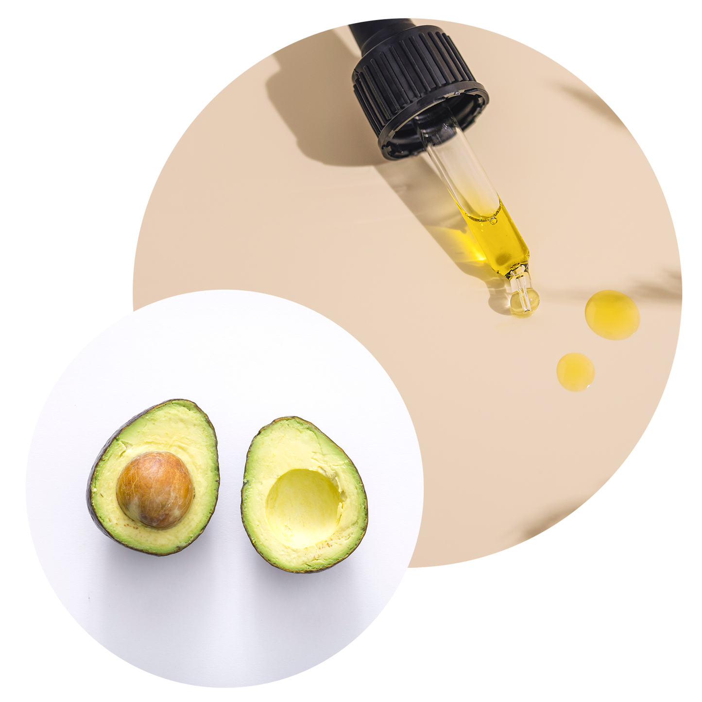 Avocado Carrier Oil